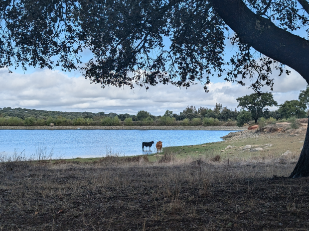 Walk Arraiolos, Alentejo