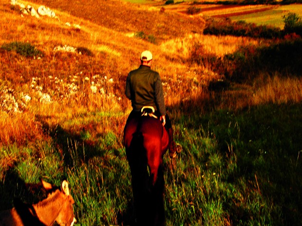 Met Claudio Mecoli en zijn trouwe ezeltje Budino kun je rondom San Stefano en Calascico mooie paardentochten maken.